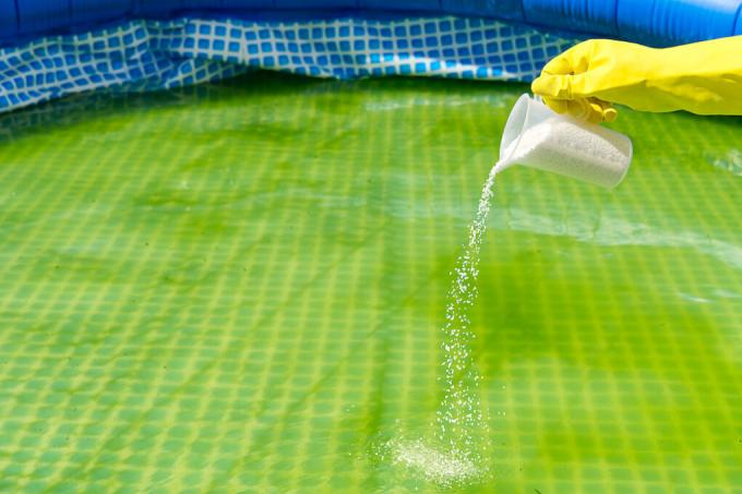 pool-algae-despite-chlorine