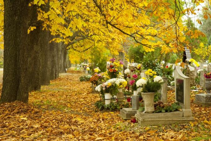 hroby s kvetmi